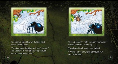 Literacy Tower - Level 14 - Fiction - The Clever Black Spider - Pack of 6 2770000031912