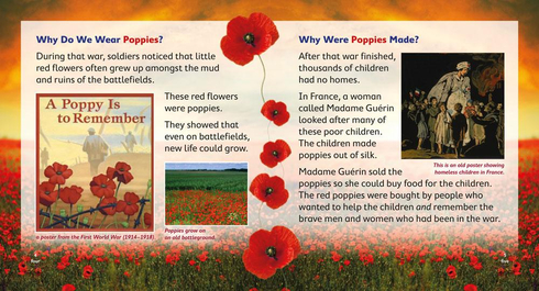 Literacy Tower - Level 15 - Non-Fiction - Anzac Day - Pack of 6 2770000031998