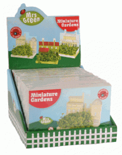 The Miniature Gardens - Set of 24 Growing Kits MG0125