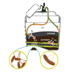 Mudwatt - Classic Kit 793573893192