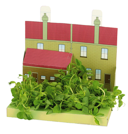 The Miniature Gardens - Set of 24 Growing Kits MG0125