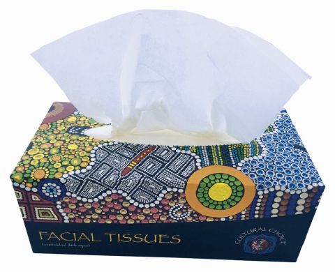 Facial Tissue Box Of 200 9314649062512