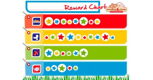 Magnetic Reward Chart 9781943277230